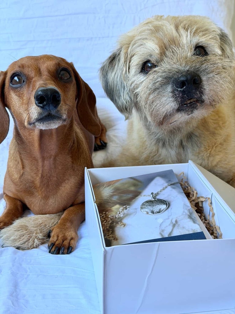 Impression Kit only (no jewellery included)
